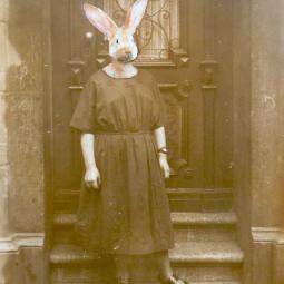 Alte Häsin, 12 x 20 cm, 2019