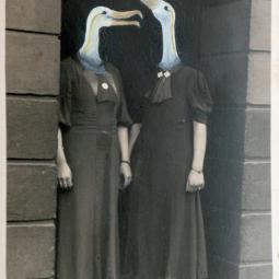 Schnatterinchen, 2018