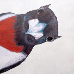 Klaus, Oil on Cardboard, 21 x 21 cm, 2019