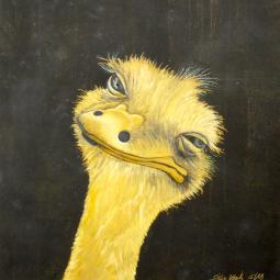 Olli, Oil on Cardboard, 21 x 21 cm, 2018