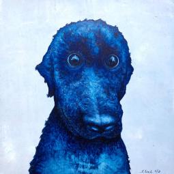 Sammy, Oil on Cardboard, 21 x 21 cm, 2021