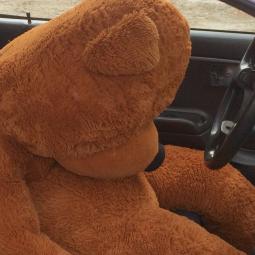 Caramboulage de Plüsch / Schrottreif Festival