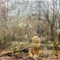 Finsterwald, 30 x 20 cm, 2023