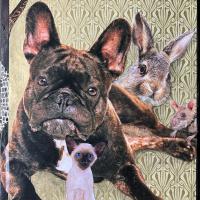 Vermasselt es nicht, 26 x 18 cm, 2024